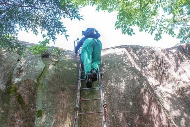 ハシゴは思っていた以上に高度感があるので