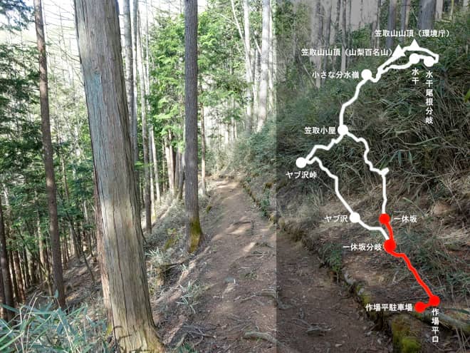 一休坂→作場平駐車場