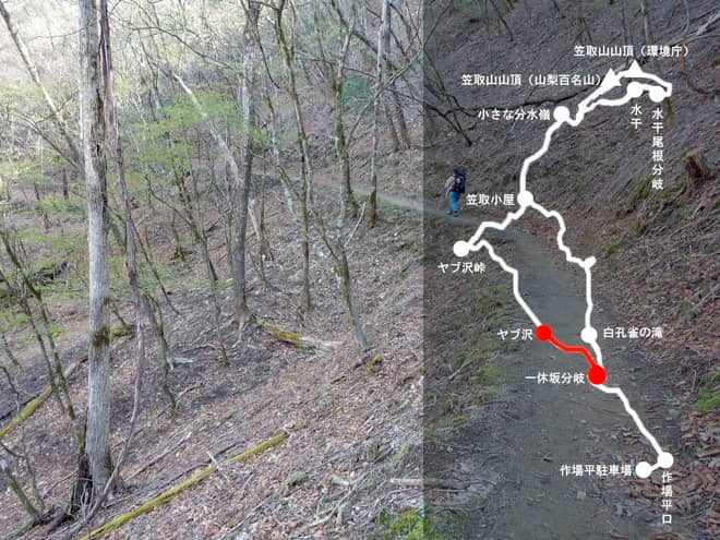 一休坂分岐→ヤブ沢