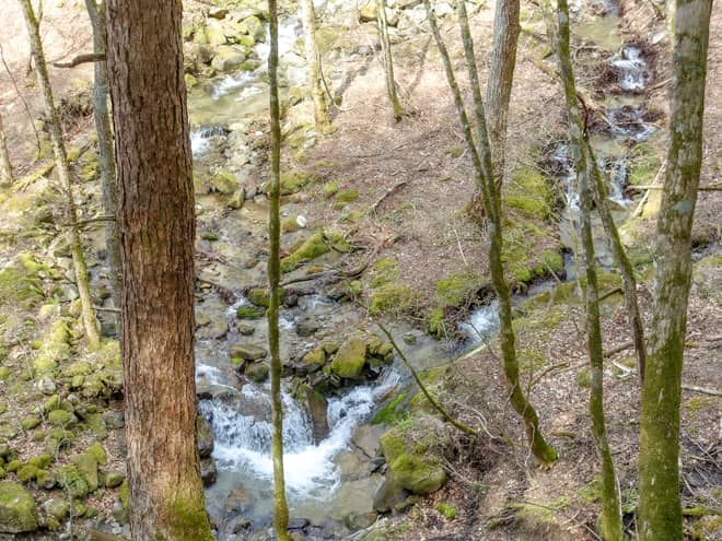 一休坂分岐から先は登りと同じルートです