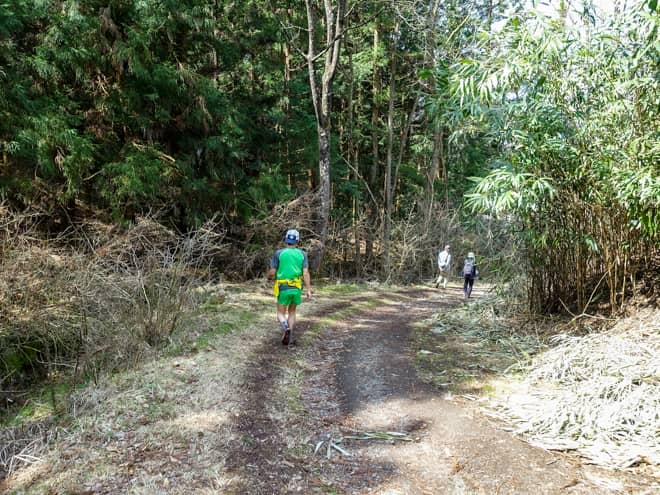 下山の後半は樹林帯歩きが続きます