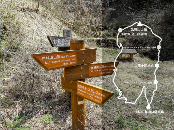 今日は、桜並木を満喫できる