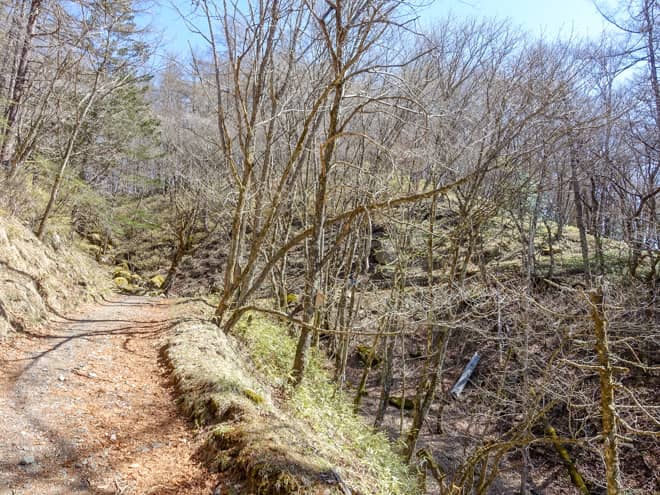 余談ですが笠取山は山小屋を含め