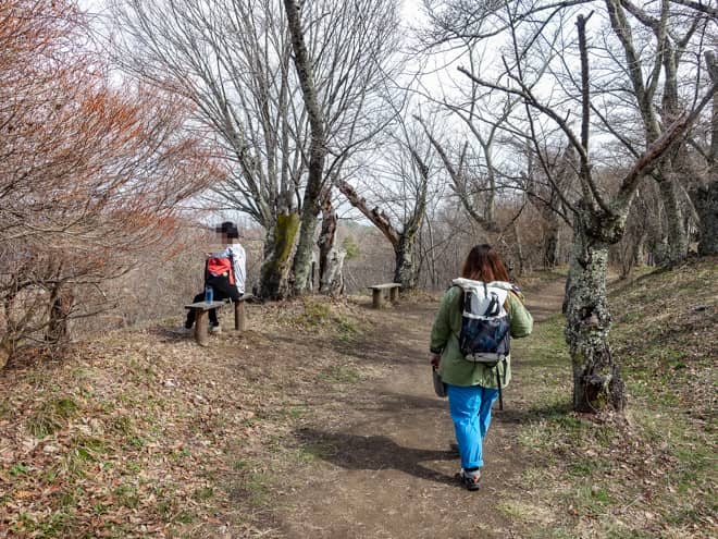 光城山に登ってみてわかったこと