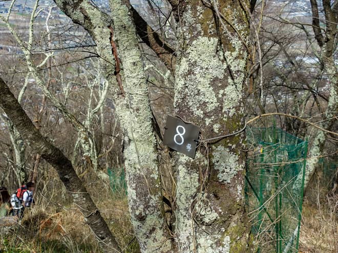 光城山は、何合目なのかがわかる数字の標識