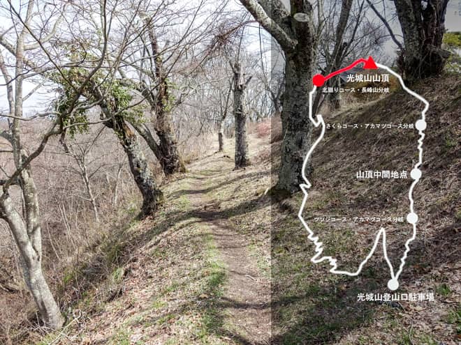 光城山山頂→北廻りコース・長峰山分岐