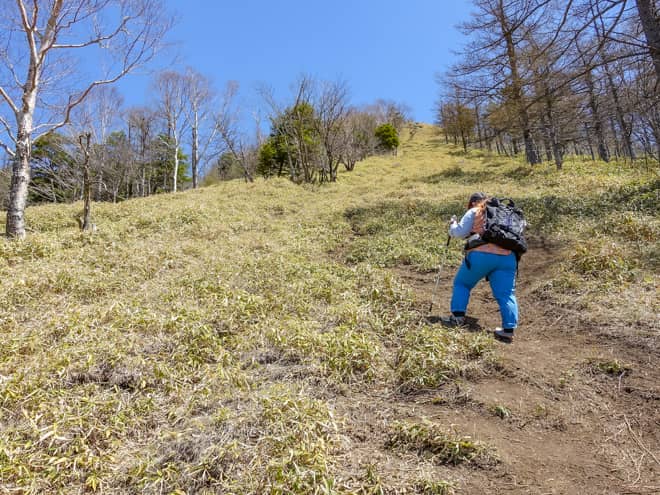 典型的な直登の急登ルートですが