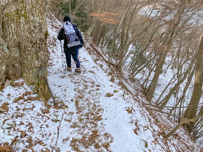 出だしは樹林帯歩きで修行の道のりですが