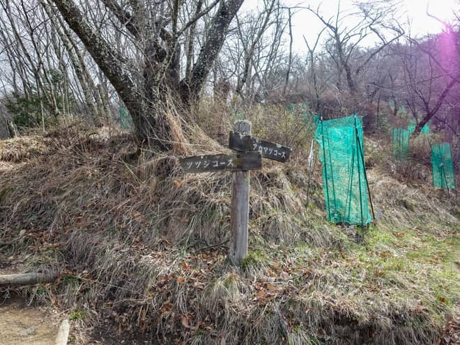 分岐に到着です。どちらに