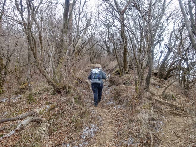 前半は絶えず富士山ドーンの絶景を (2)