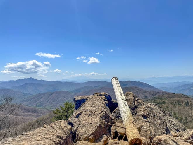 北側は木々に囲まれているので360度