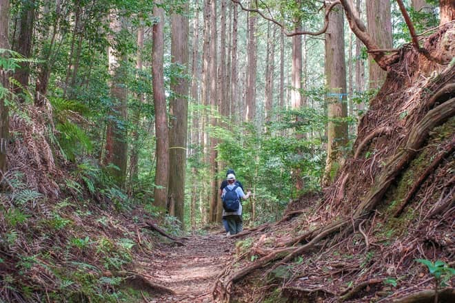 天狗倉山に登ってみてわかったこと