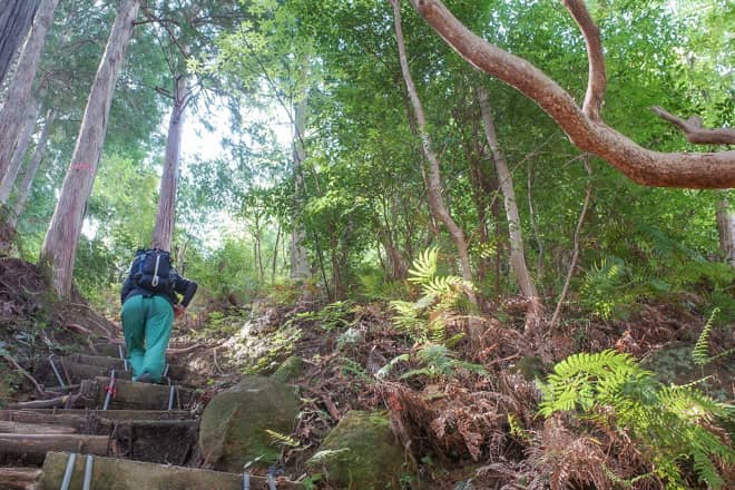 容赦のない急こう配が続くので (2)