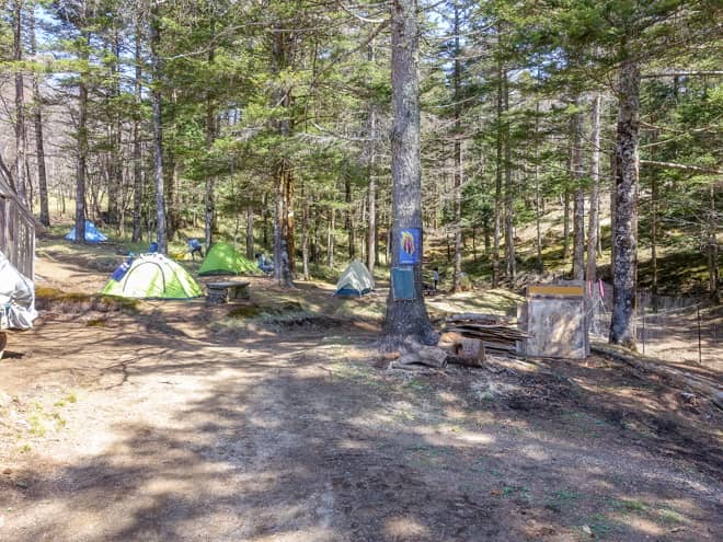 小屋の裏に広がる林間エリア