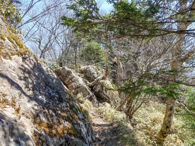 山梨百名山の標識がある山頂までは