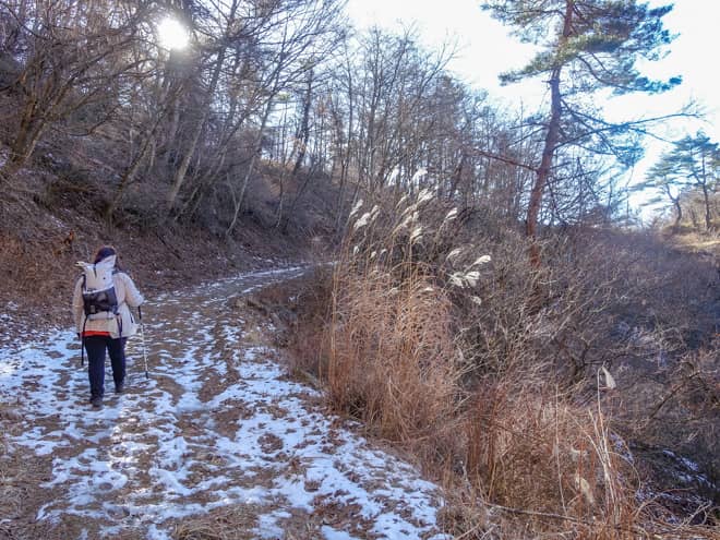 山行の半分が林道歩きで