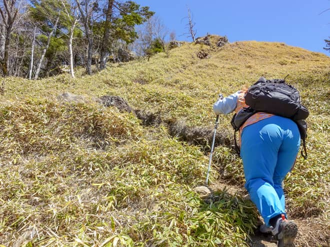 山頂に近づくにつれ急こう配になり