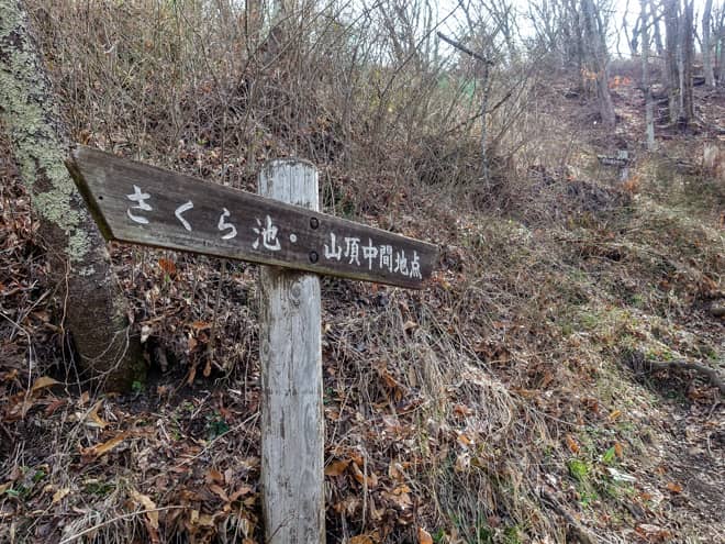 山頂中間地点に到着です