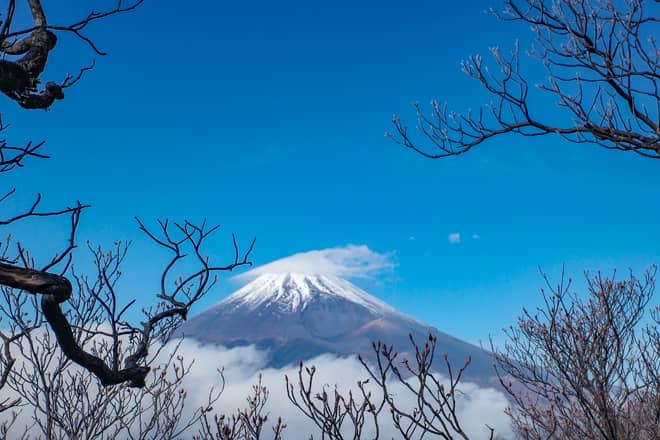 愛鷹山山頂（越前岳）