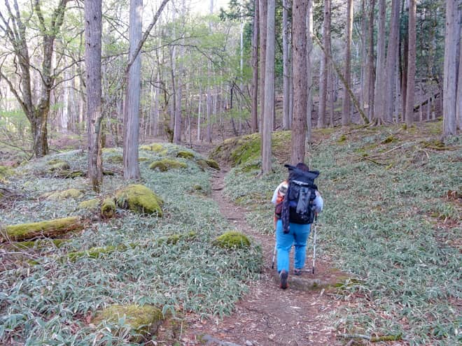 最初のチェックポイントとなる
