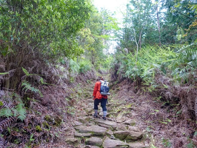 案内板のある場所までは