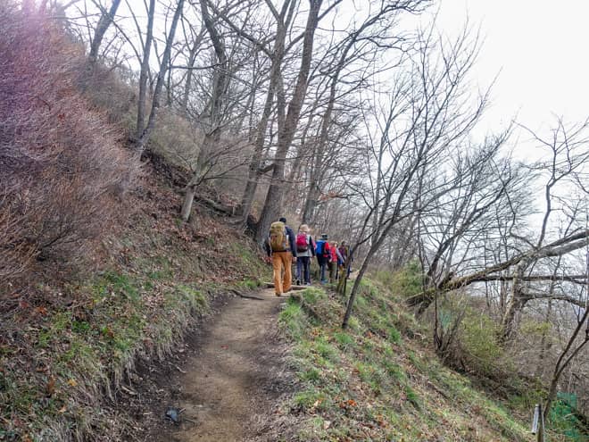桜が満開になった時は一体どうなってしまうのでしょうか