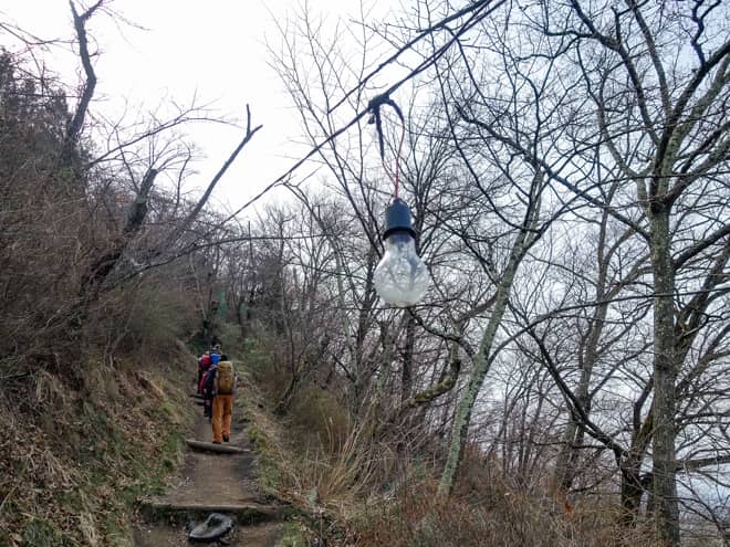 桜並木が続く登山道には