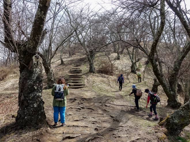 桜並木の広場から見える長い階段が最後の登り