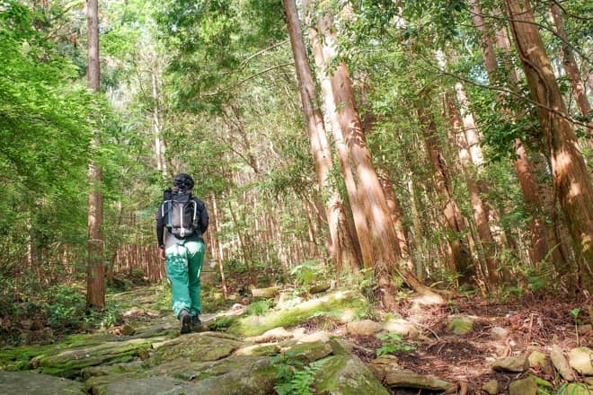 歴史と雰囲気のある古道歩きも楽しめる山