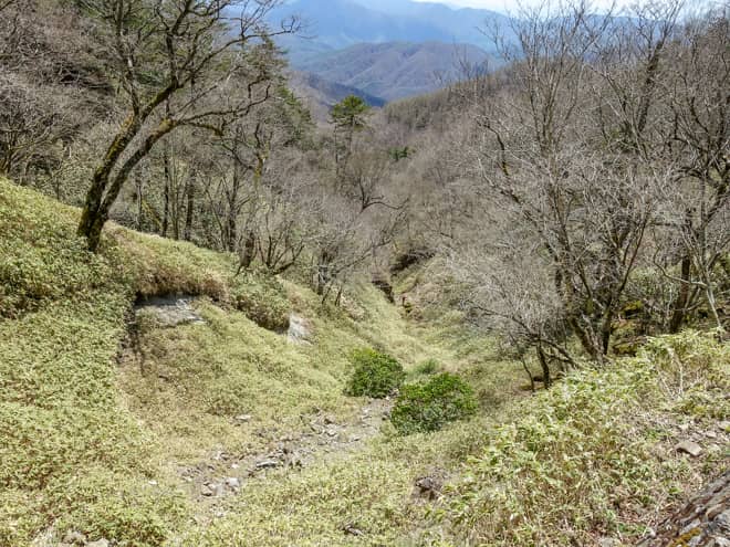 水干のしずくは一旦土の中に染みこみ