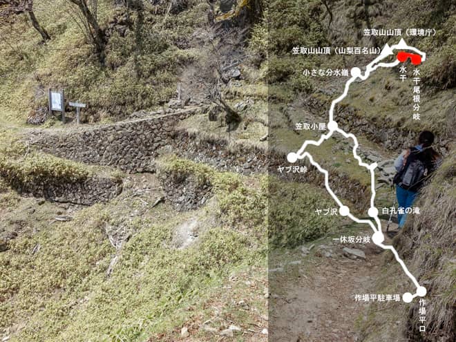 水干尾根分岐→水干