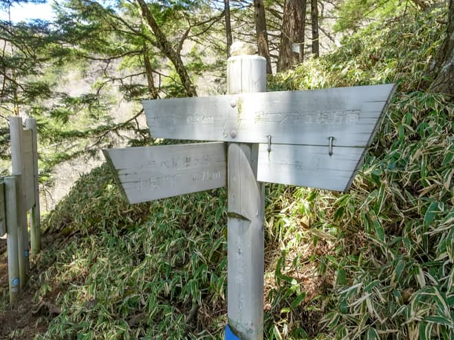水干尾根分岐に到着です