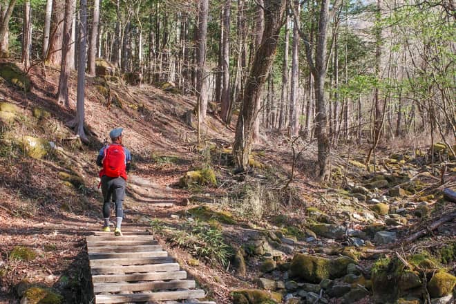 水源を守る為に保護された山は原生林に覆われたままという