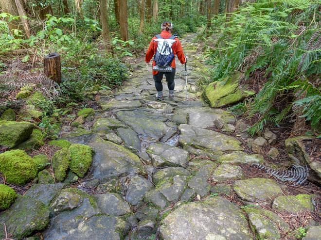 登り返しが無いとはいえ、苔むした