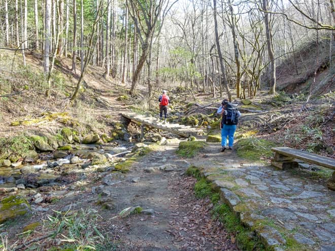 登山道は大変整備されていて緩やかな道のりなので