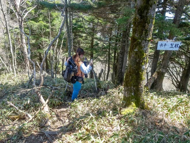 登山道は大変荒れていて、細かなアップダウン