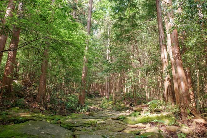 石畳が敷き詰められているのは