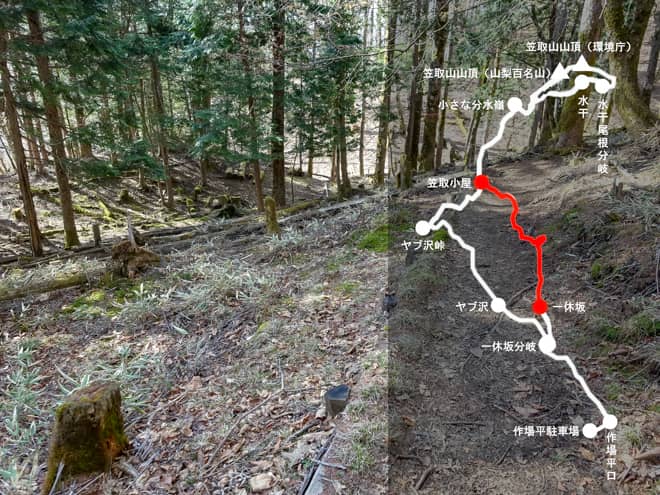 笠取小屋→一休坂