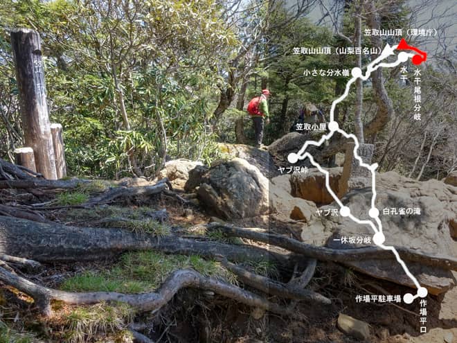 笠取山山頂（環境庁）→水干尾根分岐