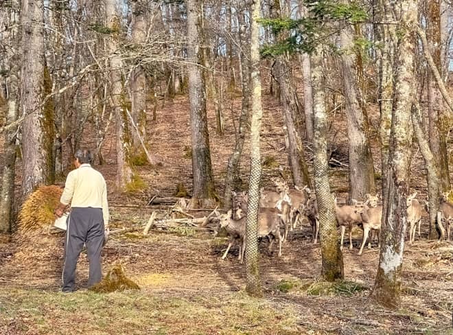 管理人さんの人柄が最高で
