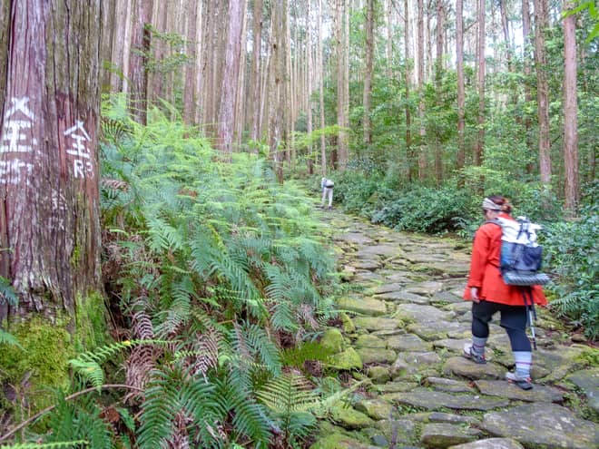 紀州藩の籠の幅に合わせて設計された