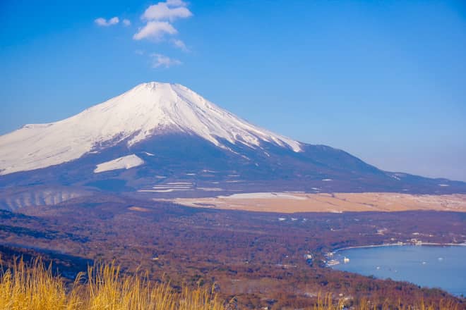 鉄砲木ノ頭山頂（明神山）