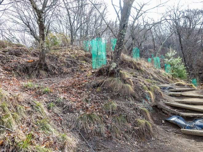 階段が整備されているとはいえ