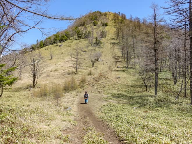 鞍部から望む笠取山はラスボス感満載です