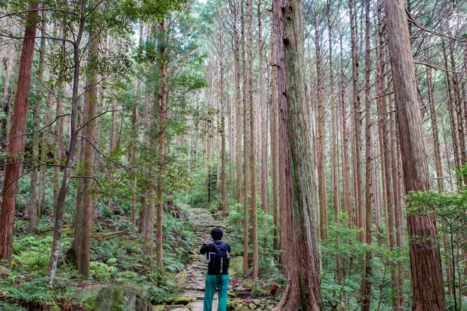 馬越峠までは歴史と雰囲気のある