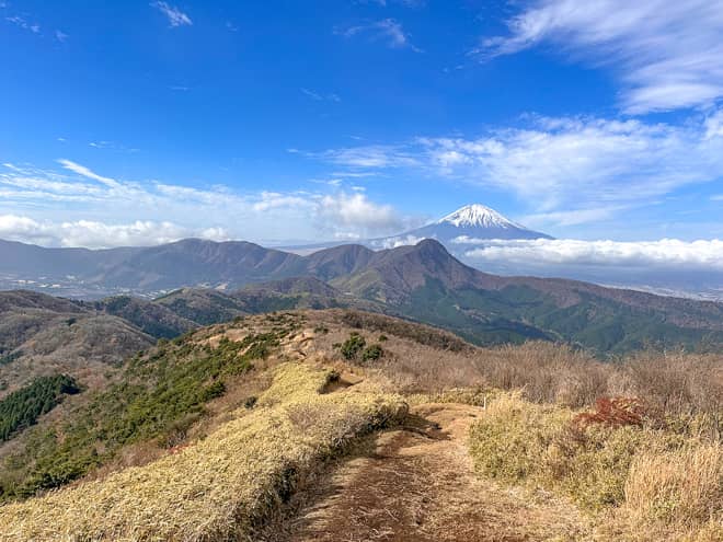 この日登ったのは、神奈川県にある「明神ヶ岳」