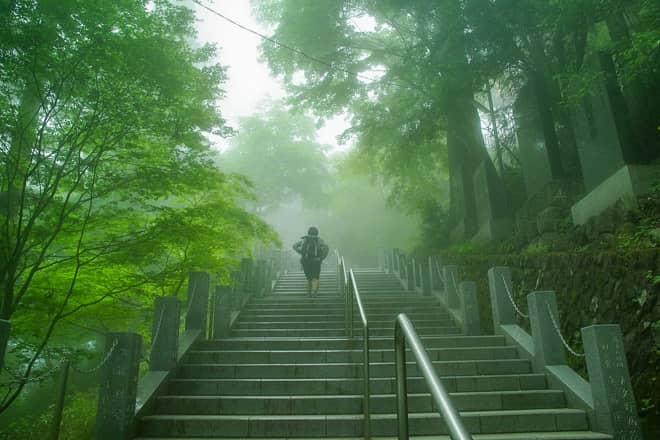 トレーニングが目的だから