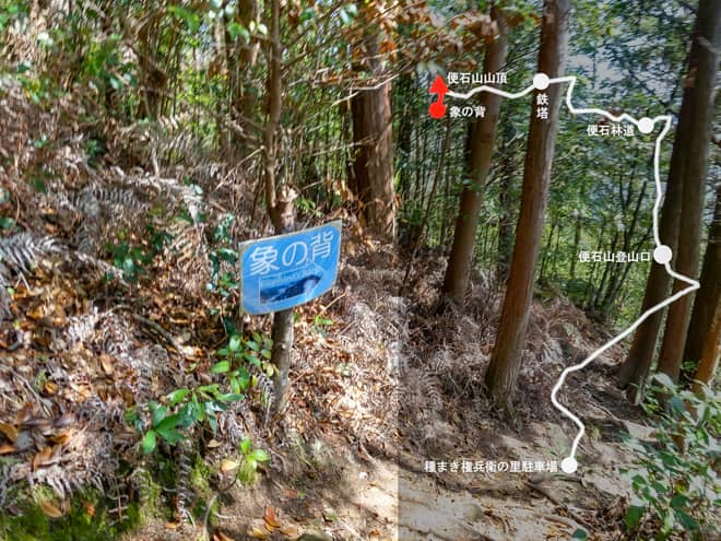 便石山山頂→象の背