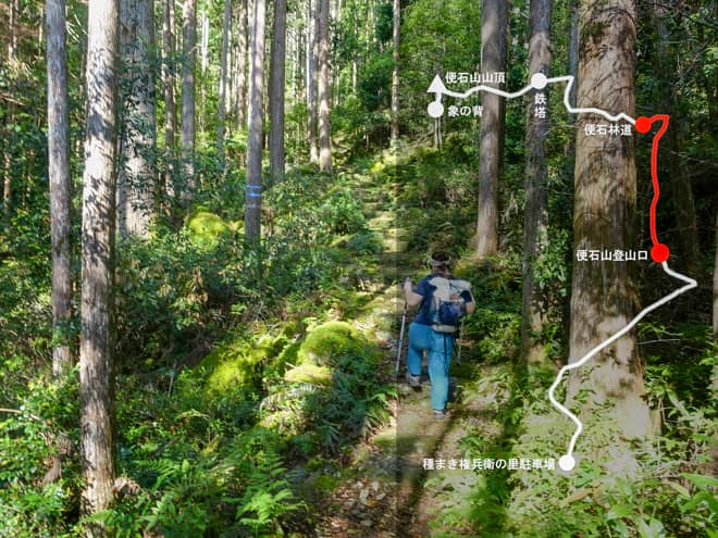 便石山登山口→便石林道
