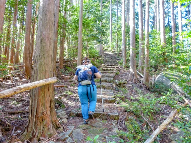 便石林道までの約200メートルは石畳